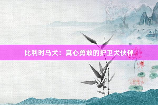比利时马犬：真心勇敢的护卫犬伙伴